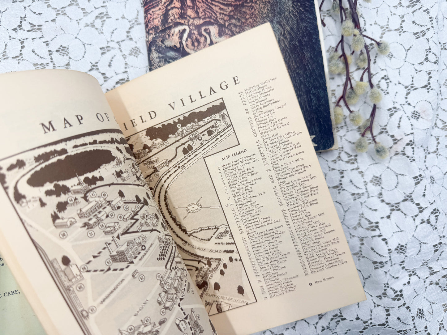 Vintage Michigan Books