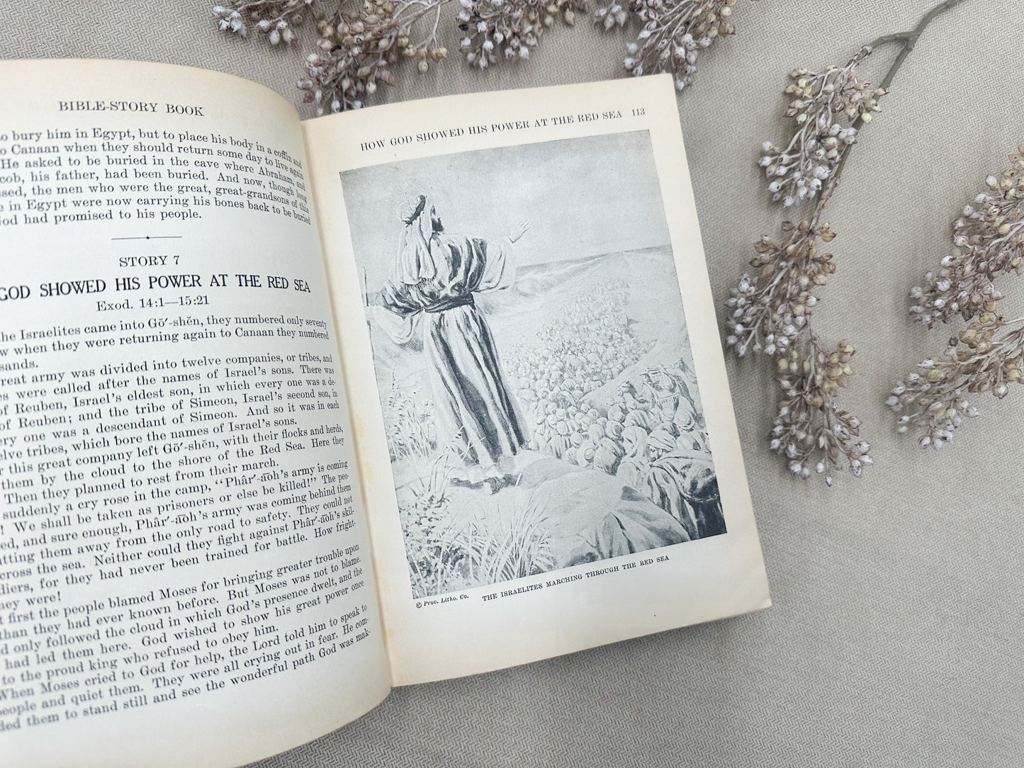 Egermeier's Bible Story Book