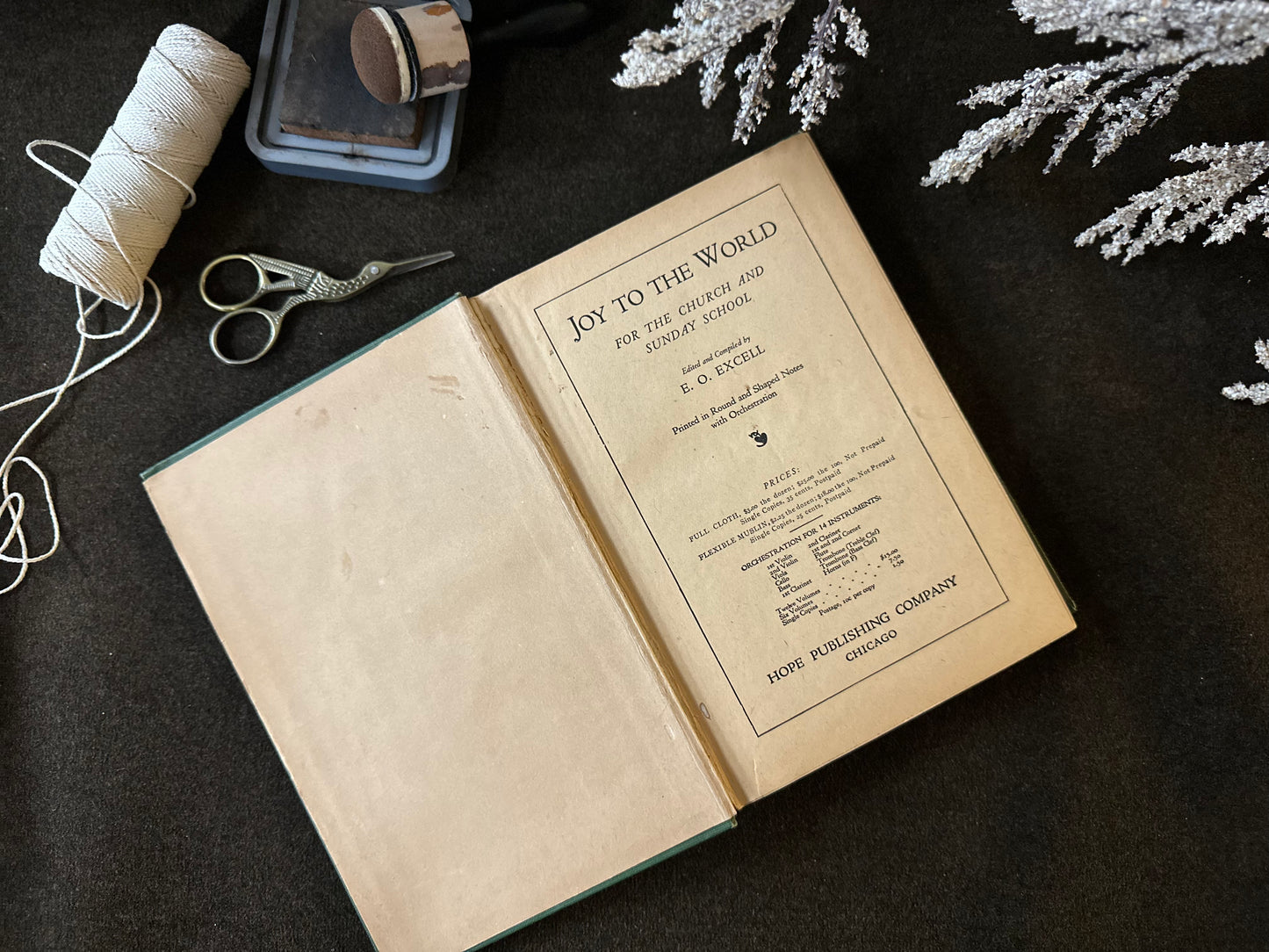 Beautiful Vintage Book