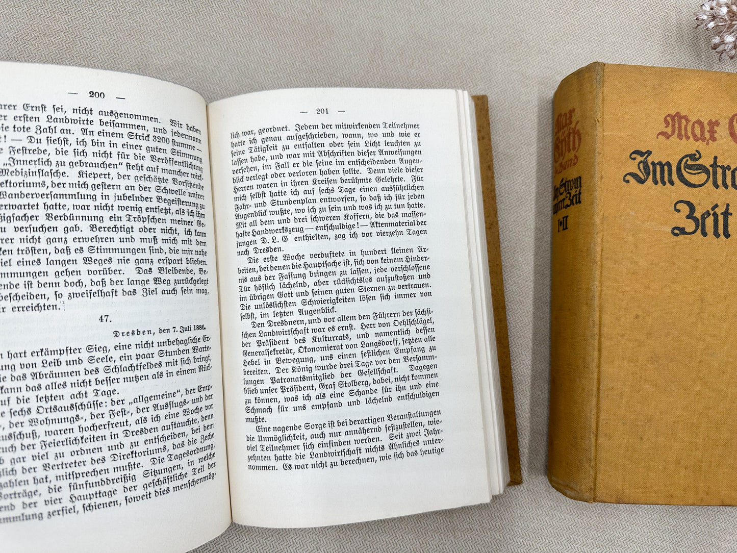 Set of Two Vintage Foreign Language Books