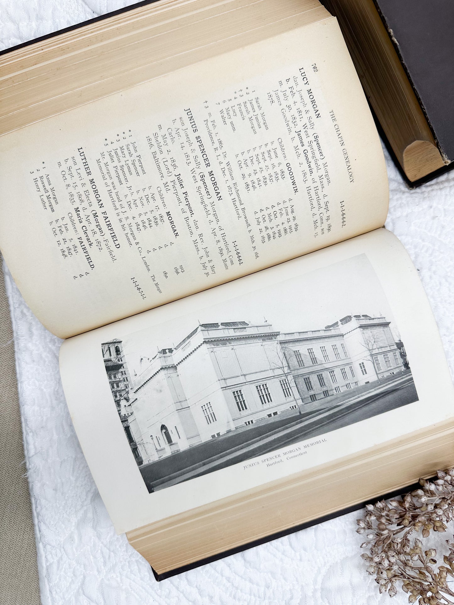 Vintage Genealogy