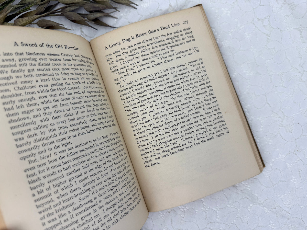 Vintage Book Set