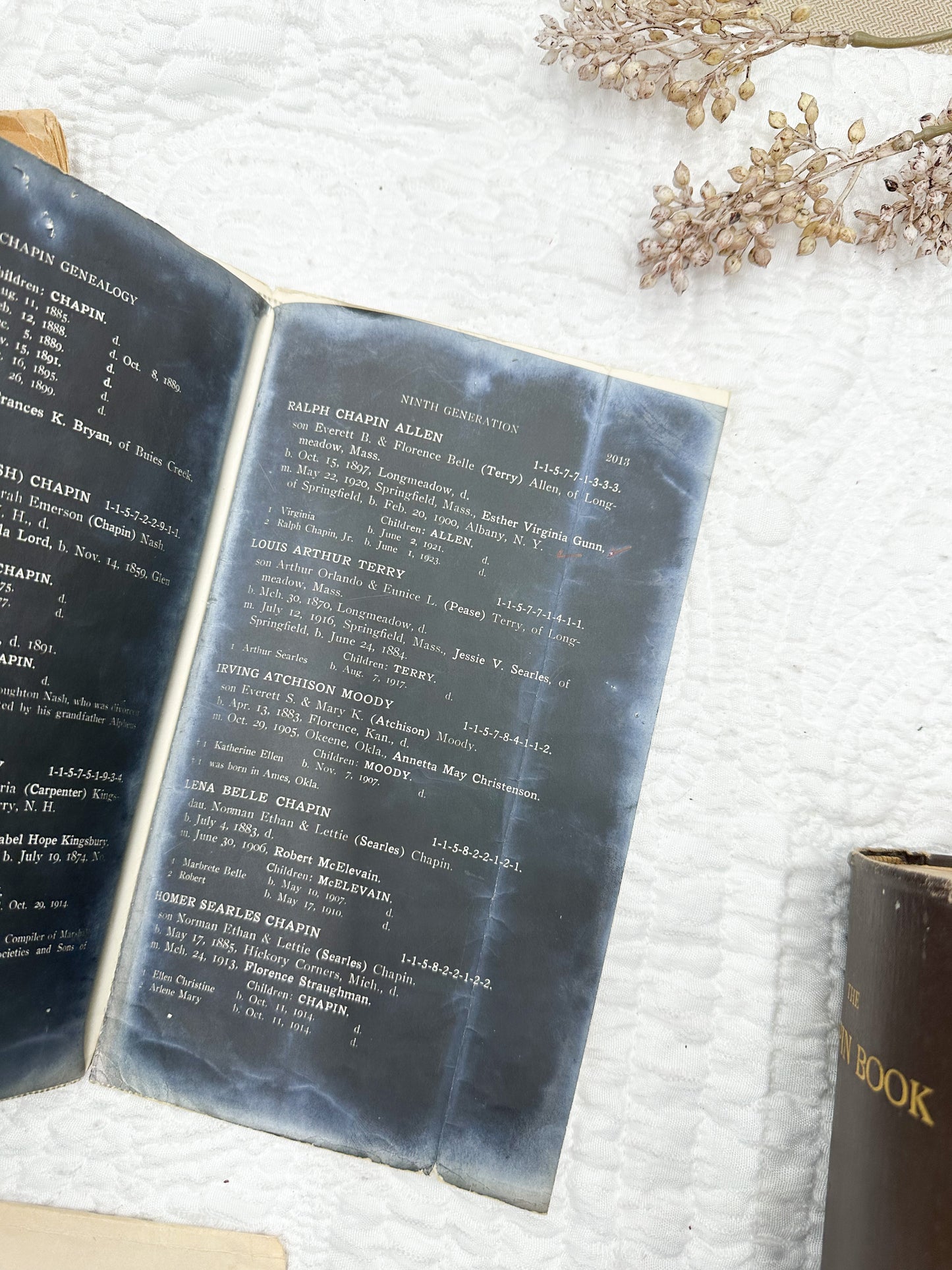Vintage Genealogy