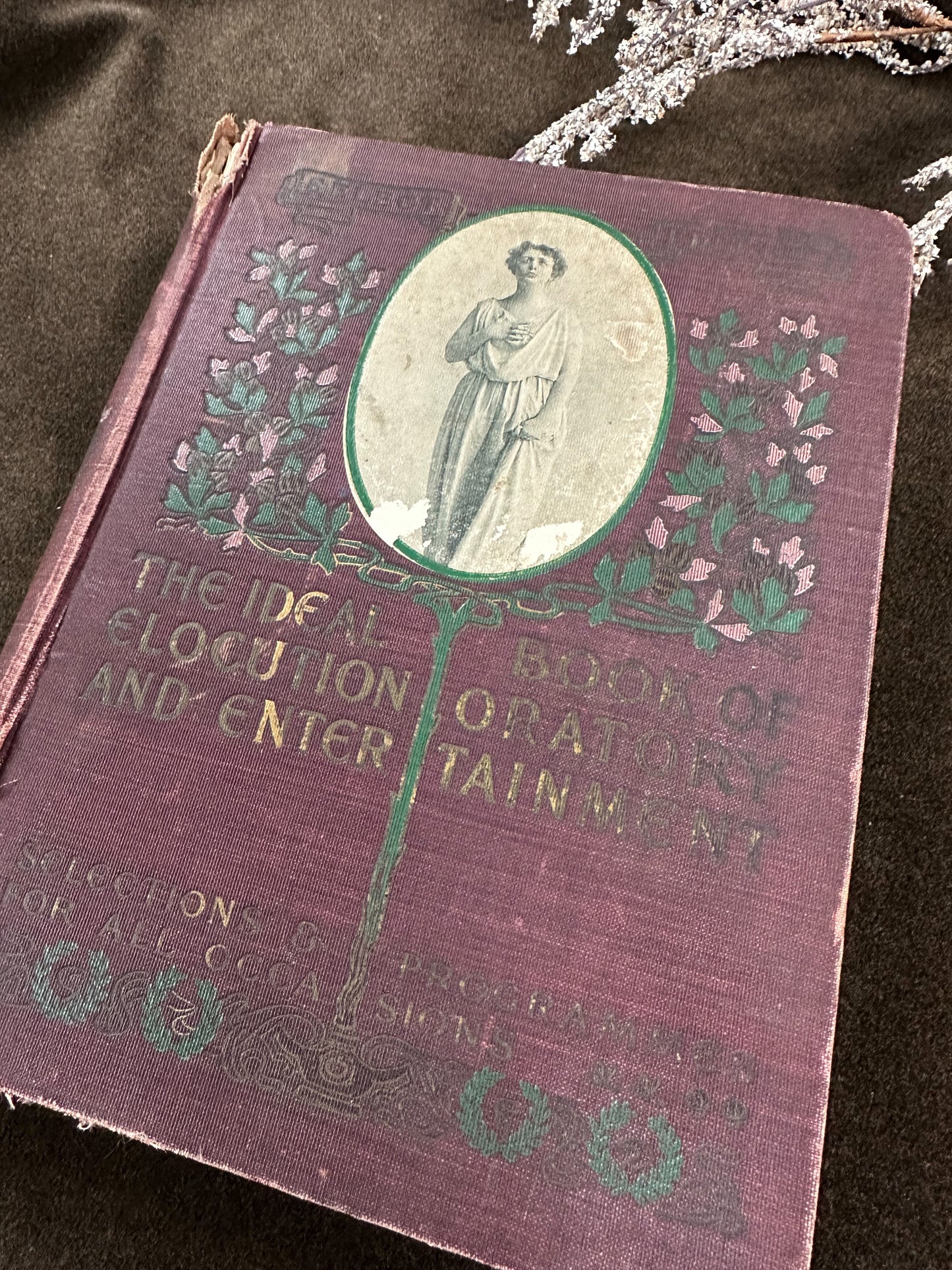 The Ideal Book of Elocution- 1902