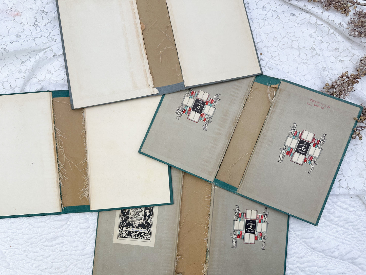 Book Cover Set