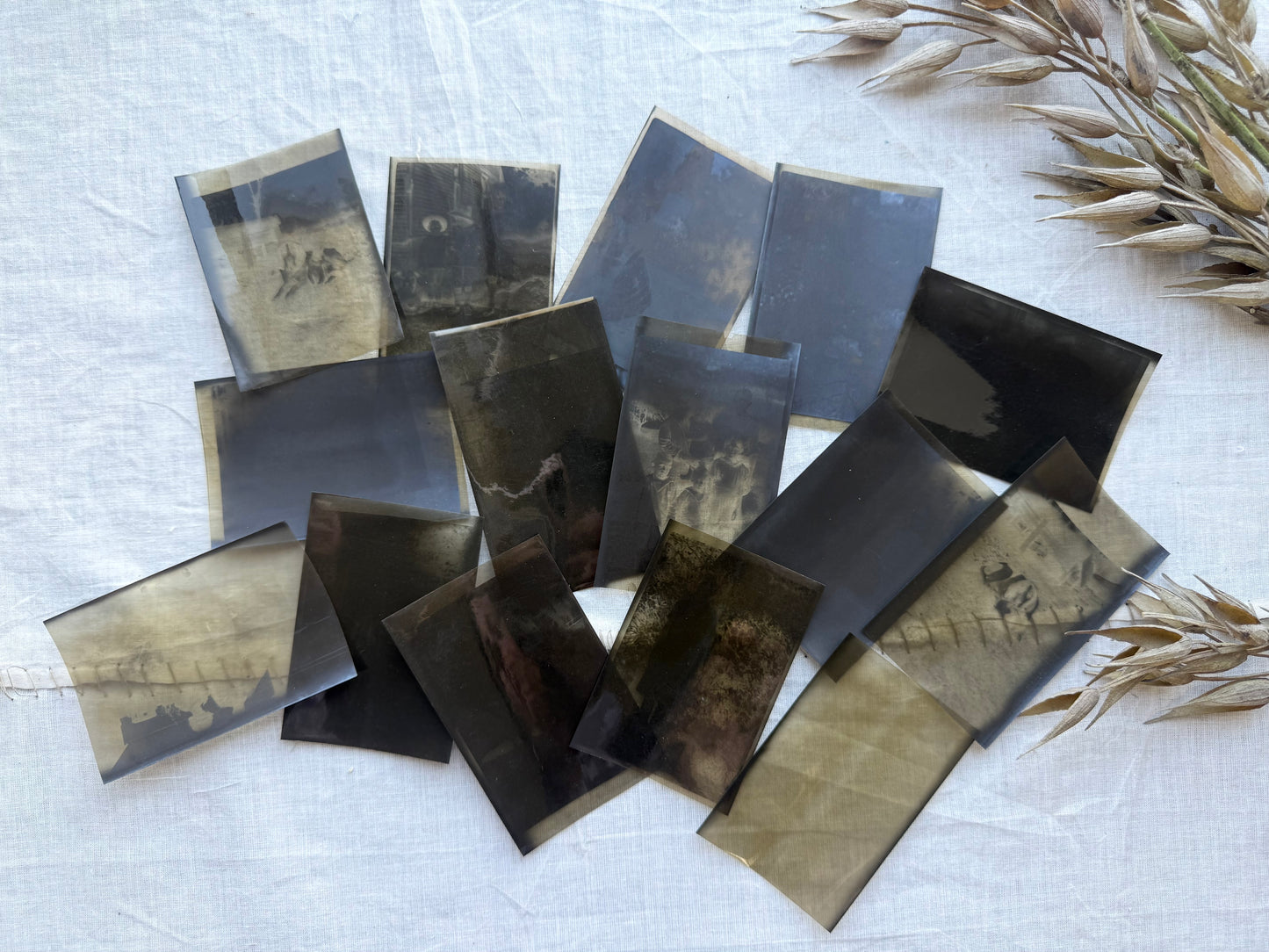 Vintage Negative Set