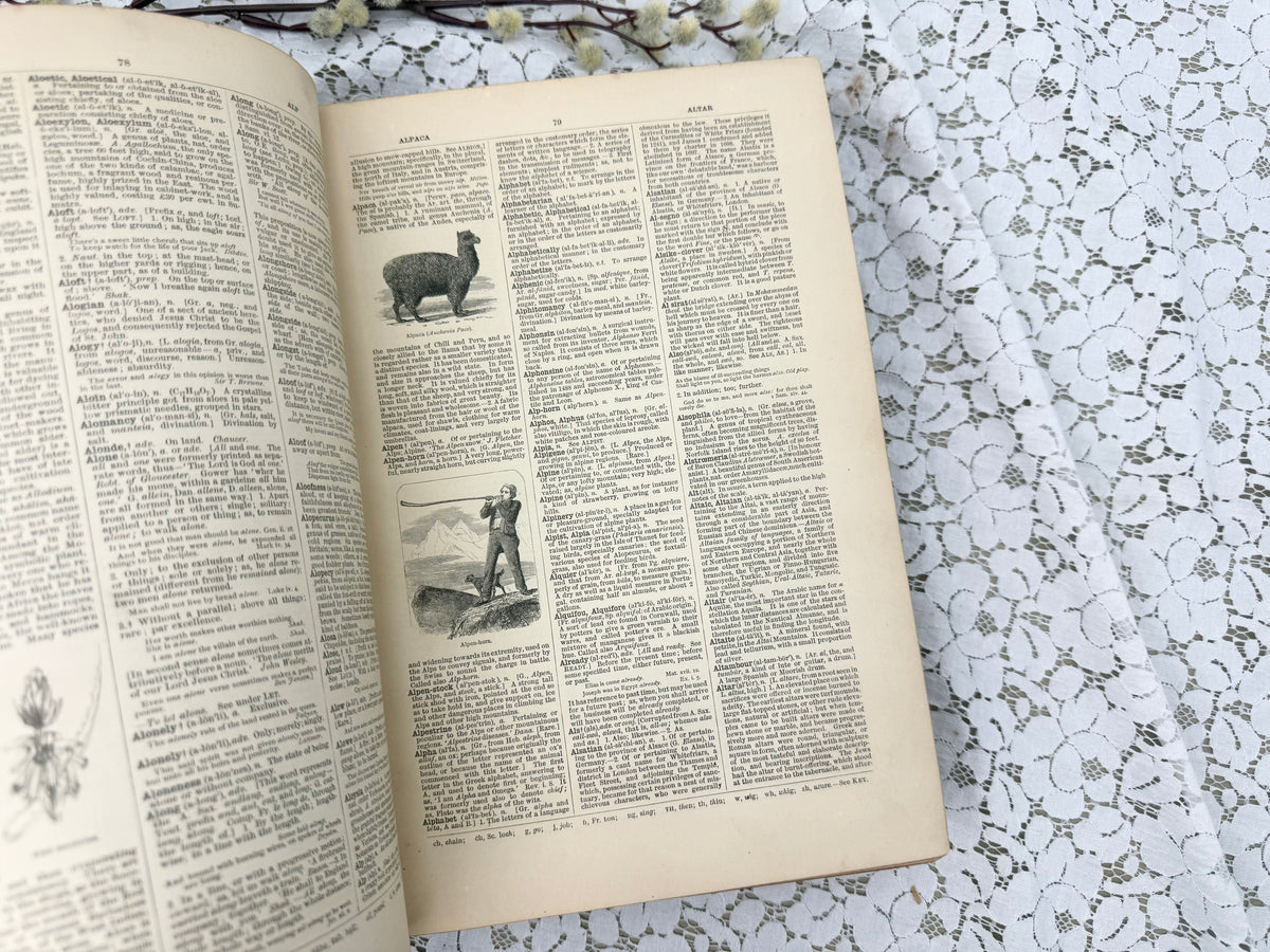 Imperial Dictionary- Illustrated