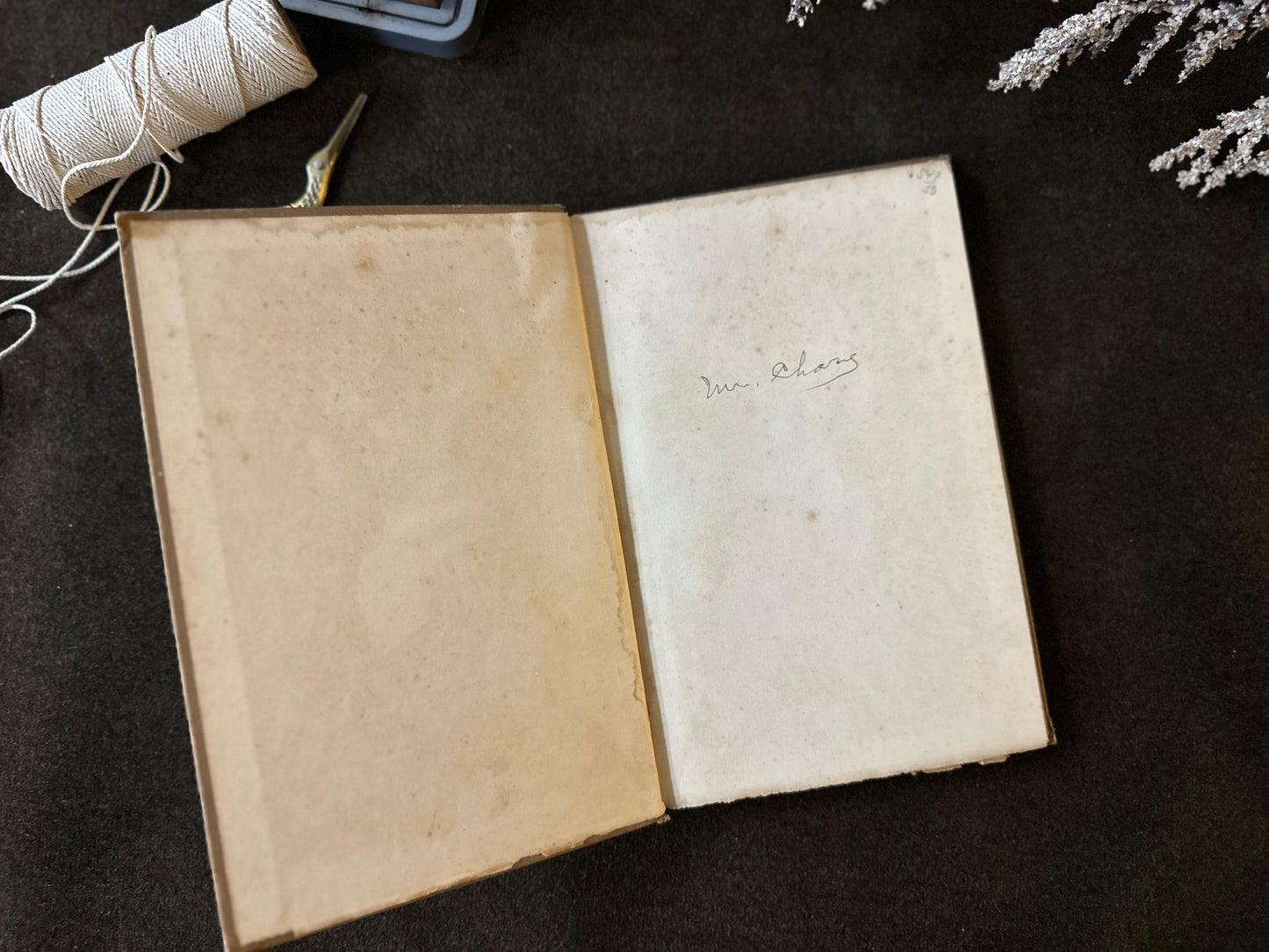 Beautiful Vintage Book