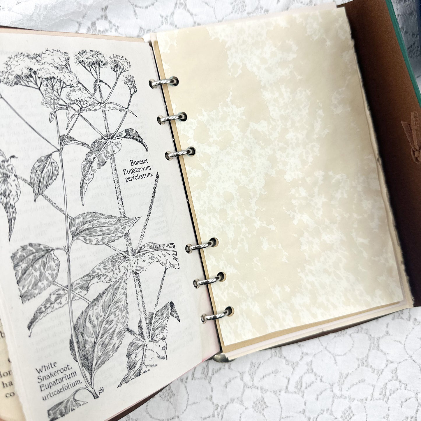 A6 Refillable Junk Journals (You Choose Color)