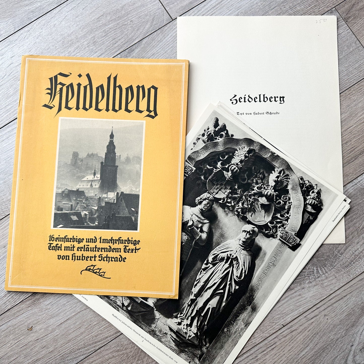 Seideberg Prints (Set of 17)