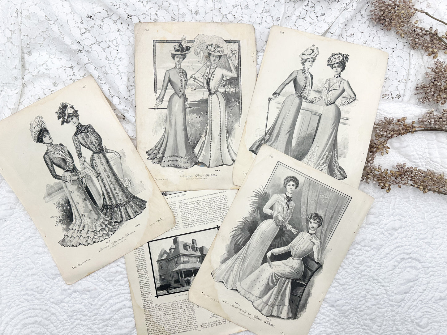 Vintage Fashion Plates and Pages