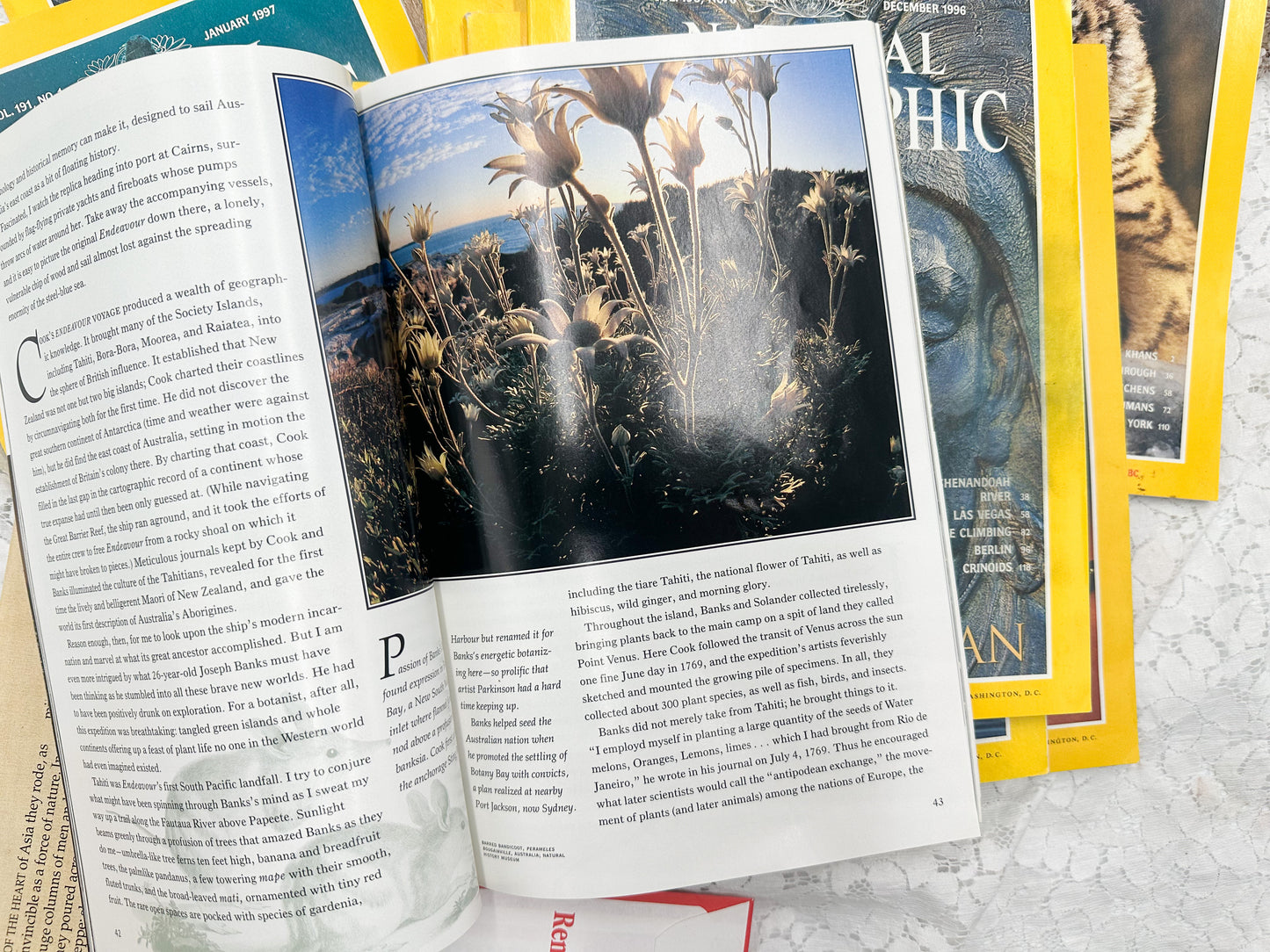 1990's National Geographic Magazines Set of 5