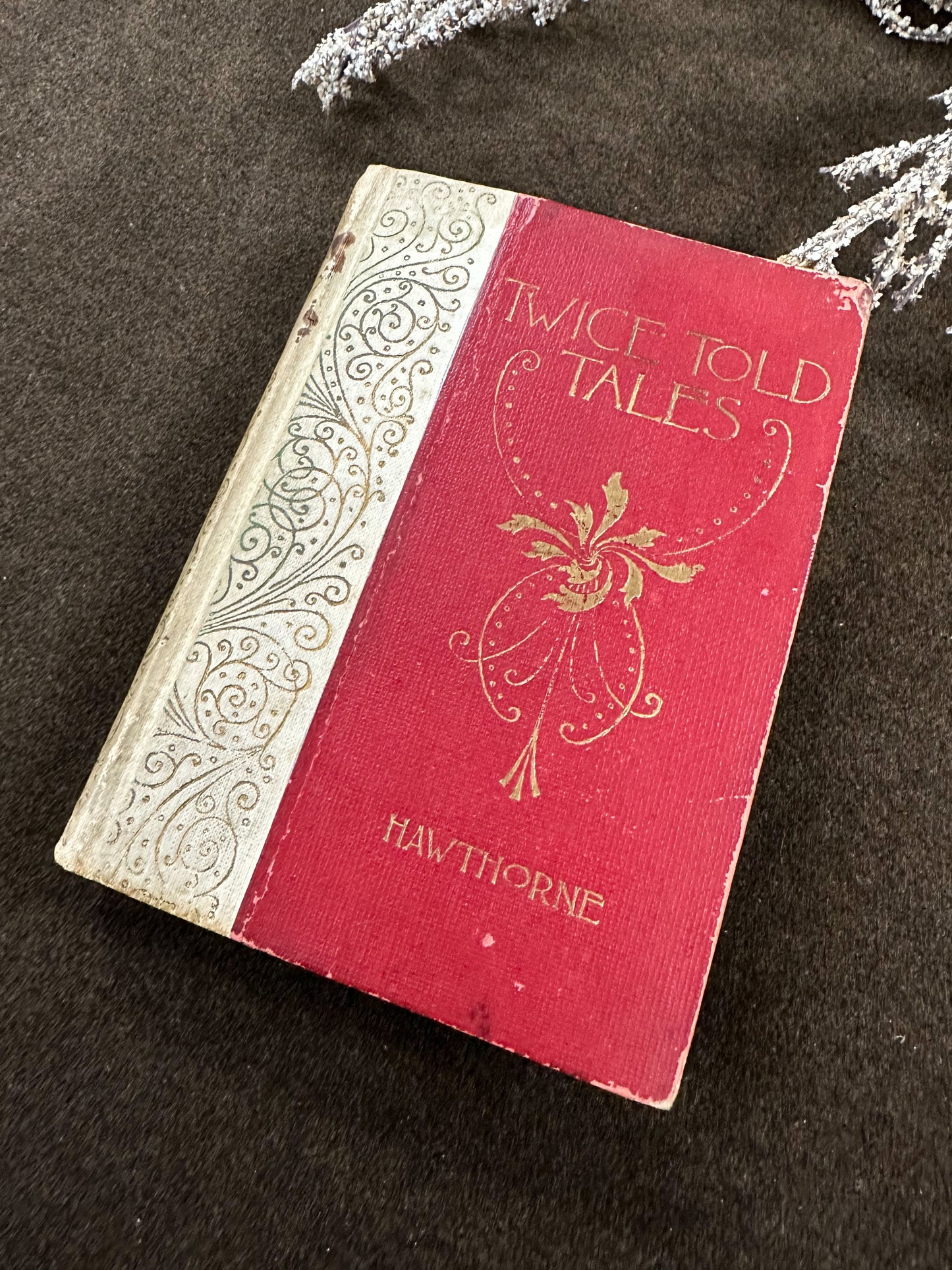 Twice Told Tales- 1893