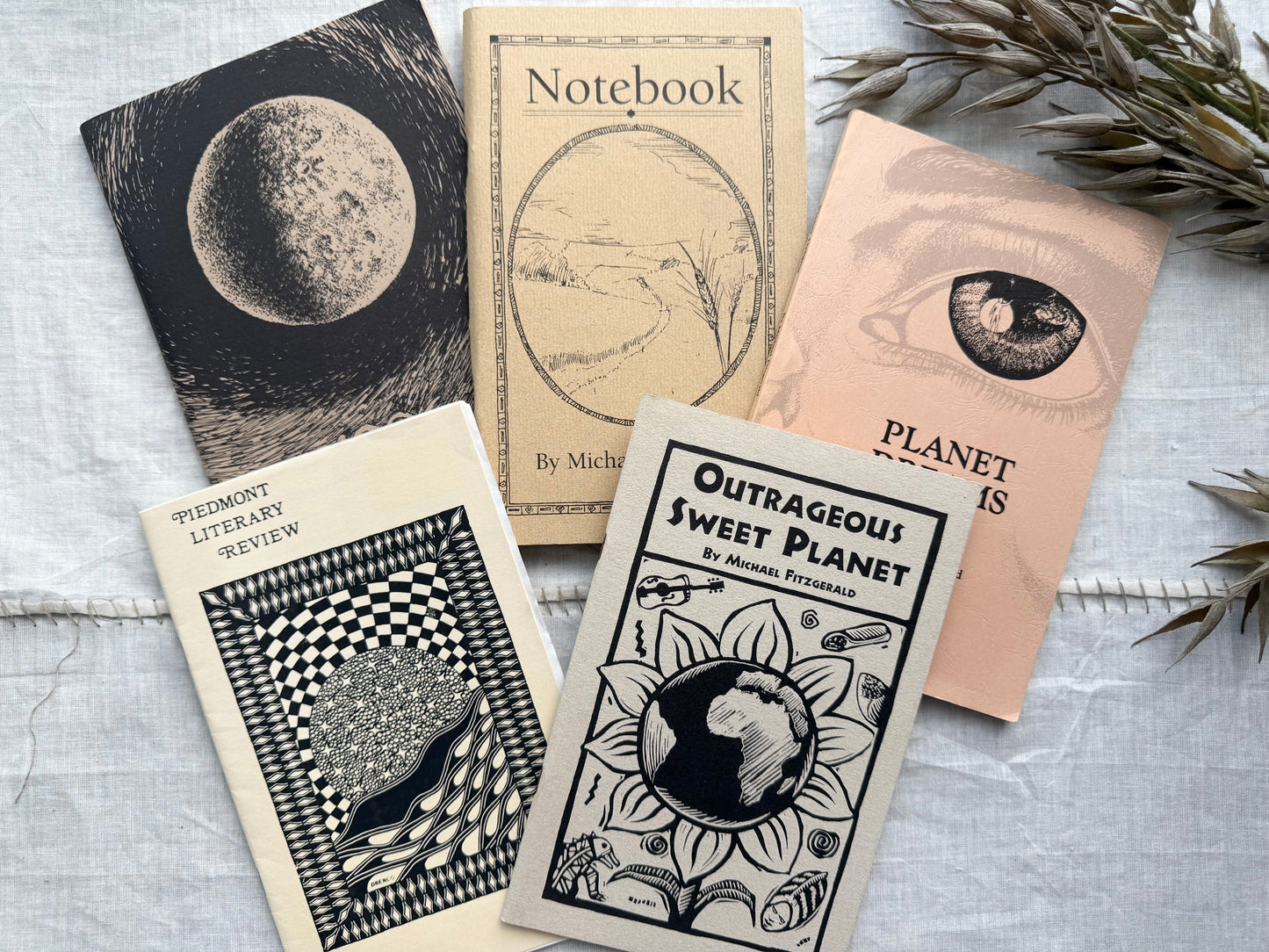 Poetry Booklet Set