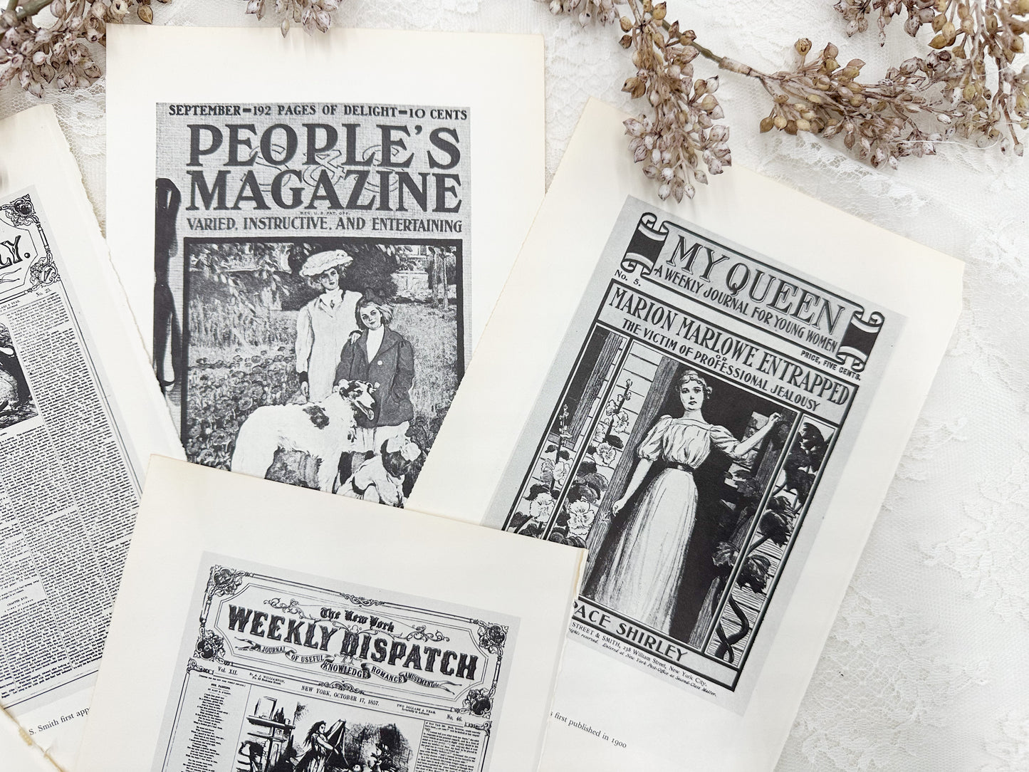 Vintage Media Plate Set
