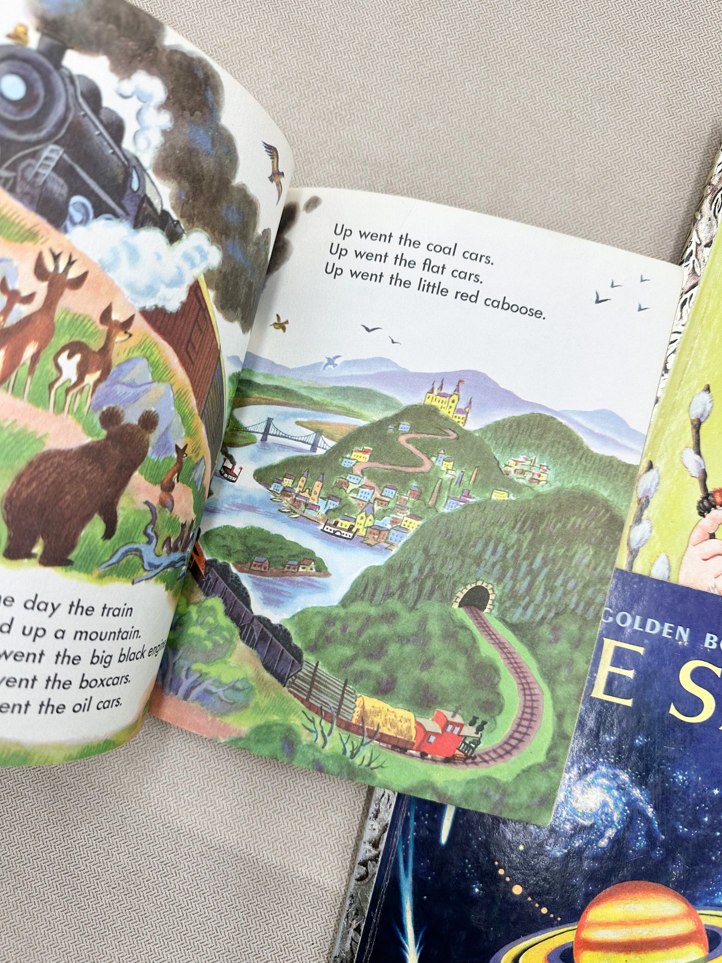 Set of Children's Books