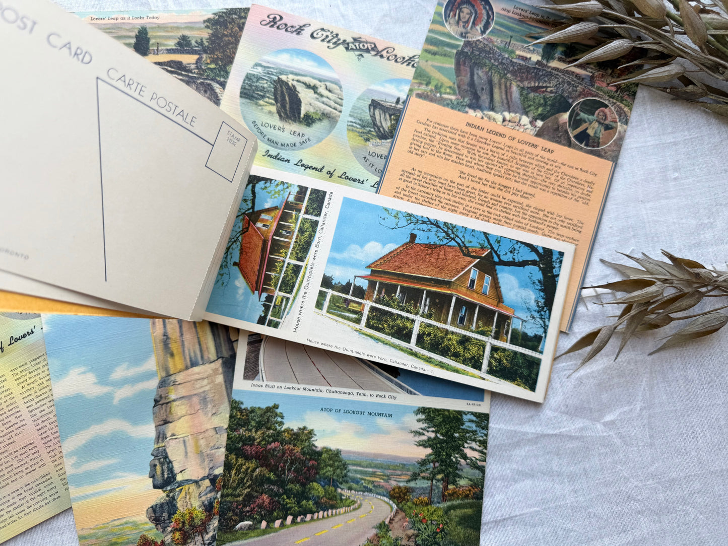 Vintage Postcard Set