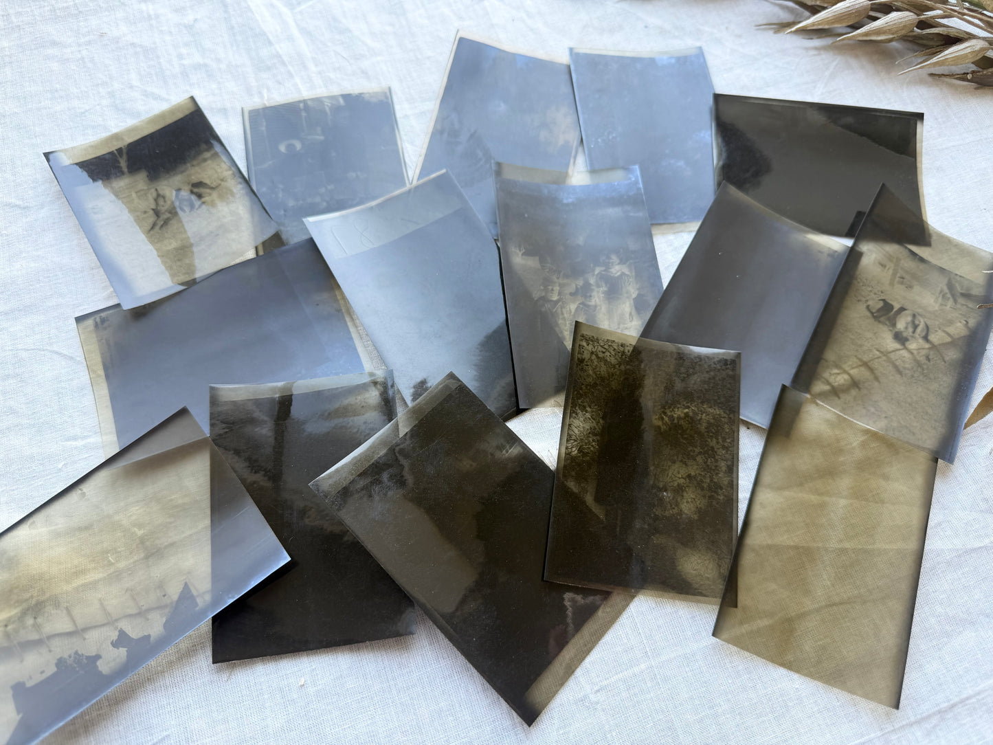Vintage Negative Set