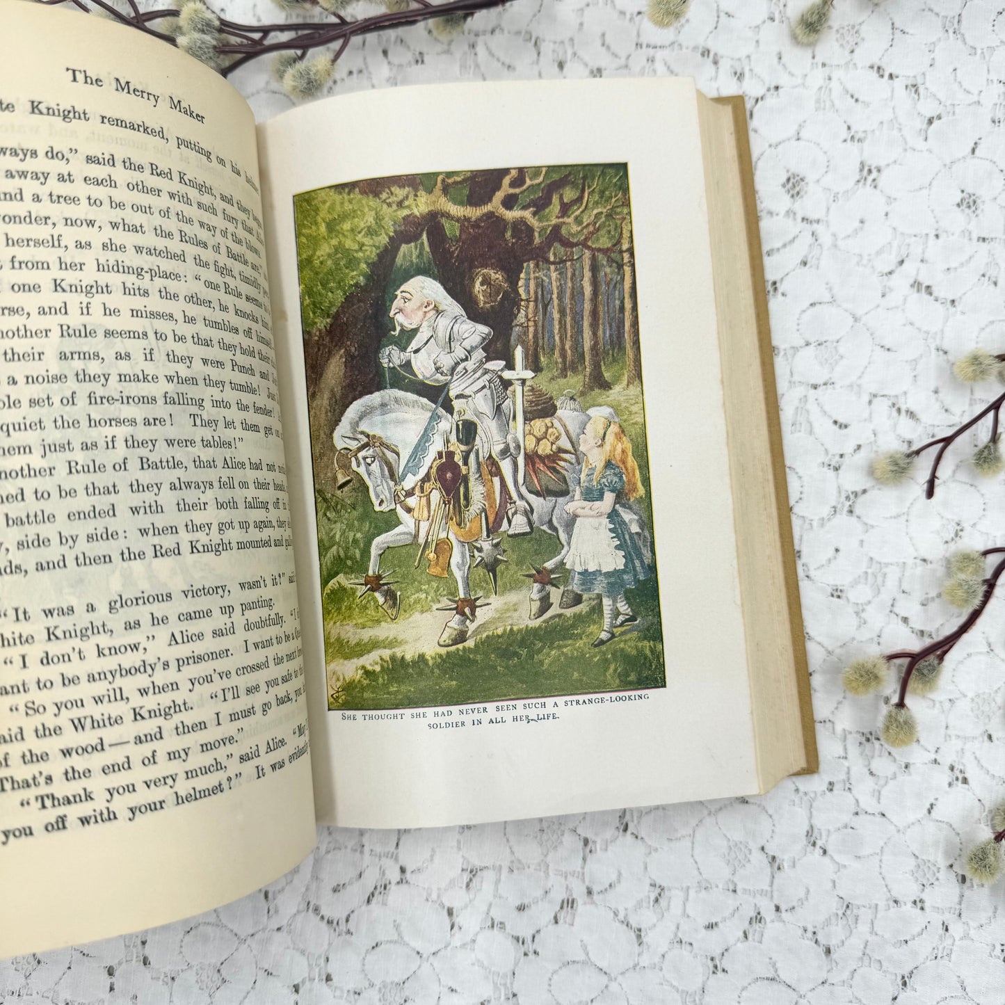 Vintage Illustrated Book