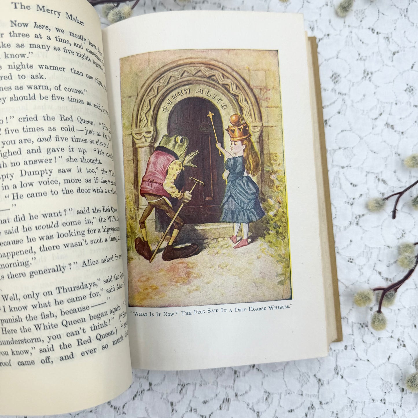 Vintage Illustrated Book