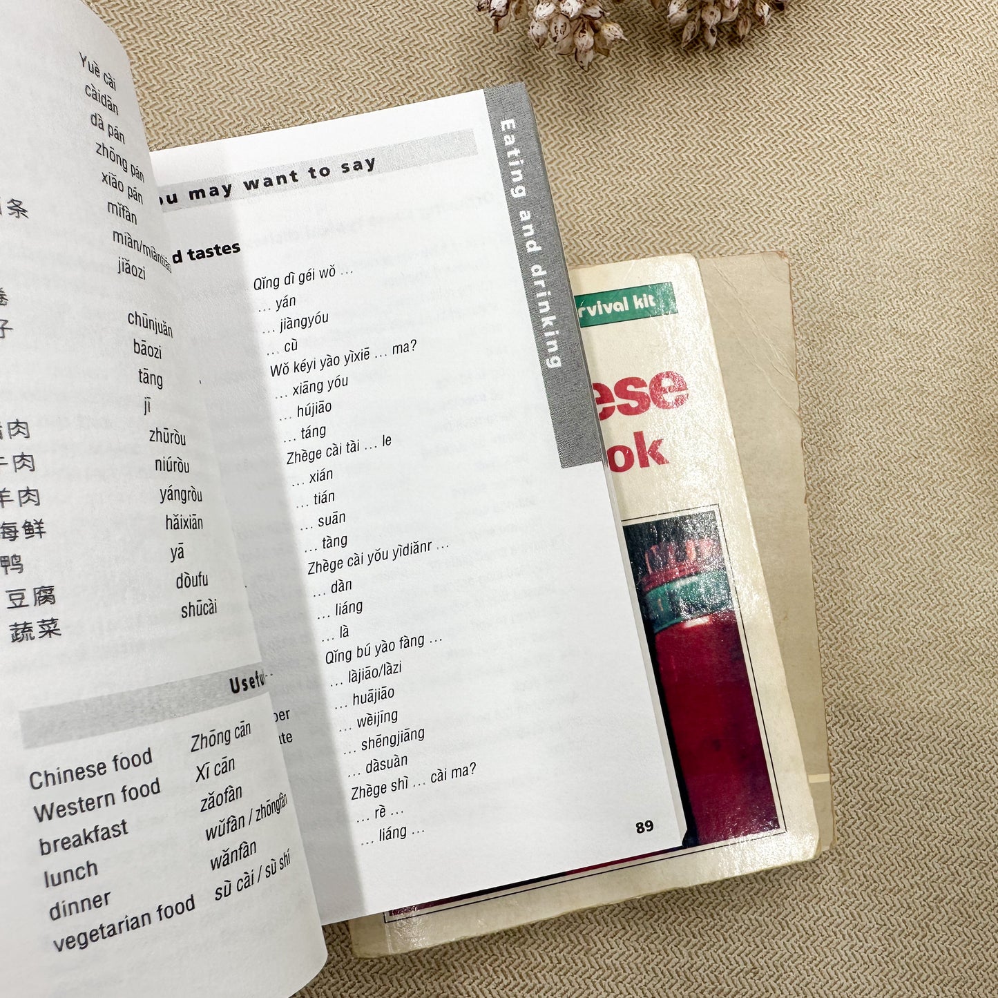 Set of Foreign Language Books