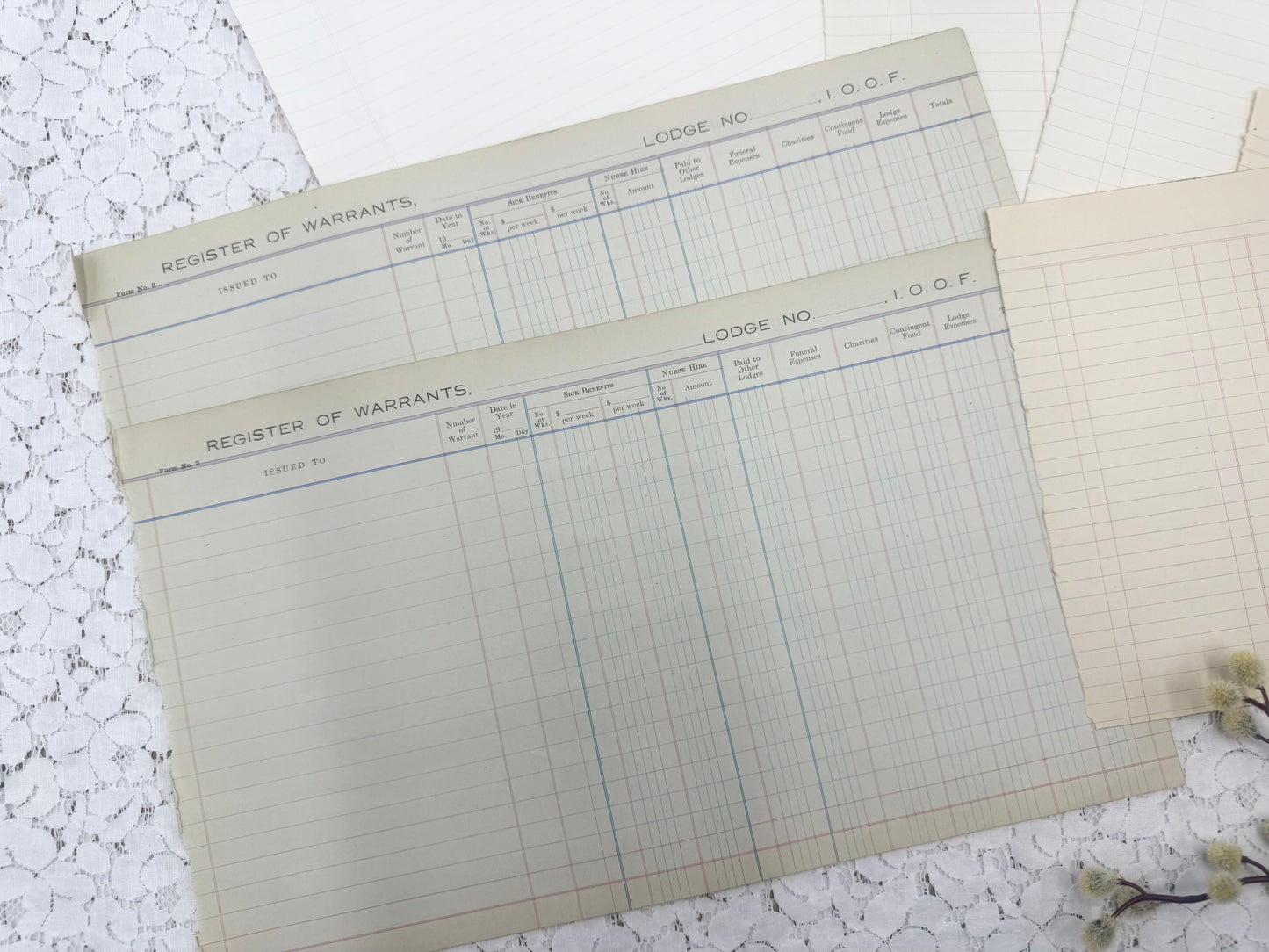 Blank Vintage Ledger Page Pack