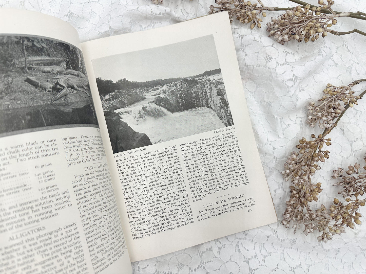 American Photography Magazine