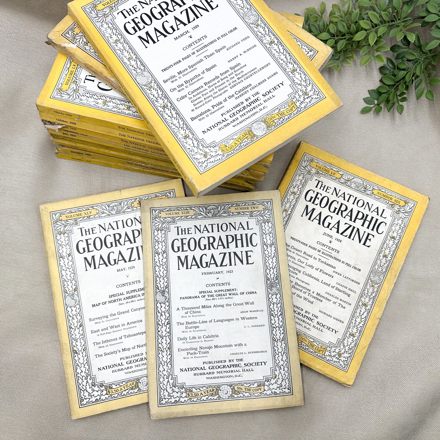 1920's National Geographic Magazines (16 available)