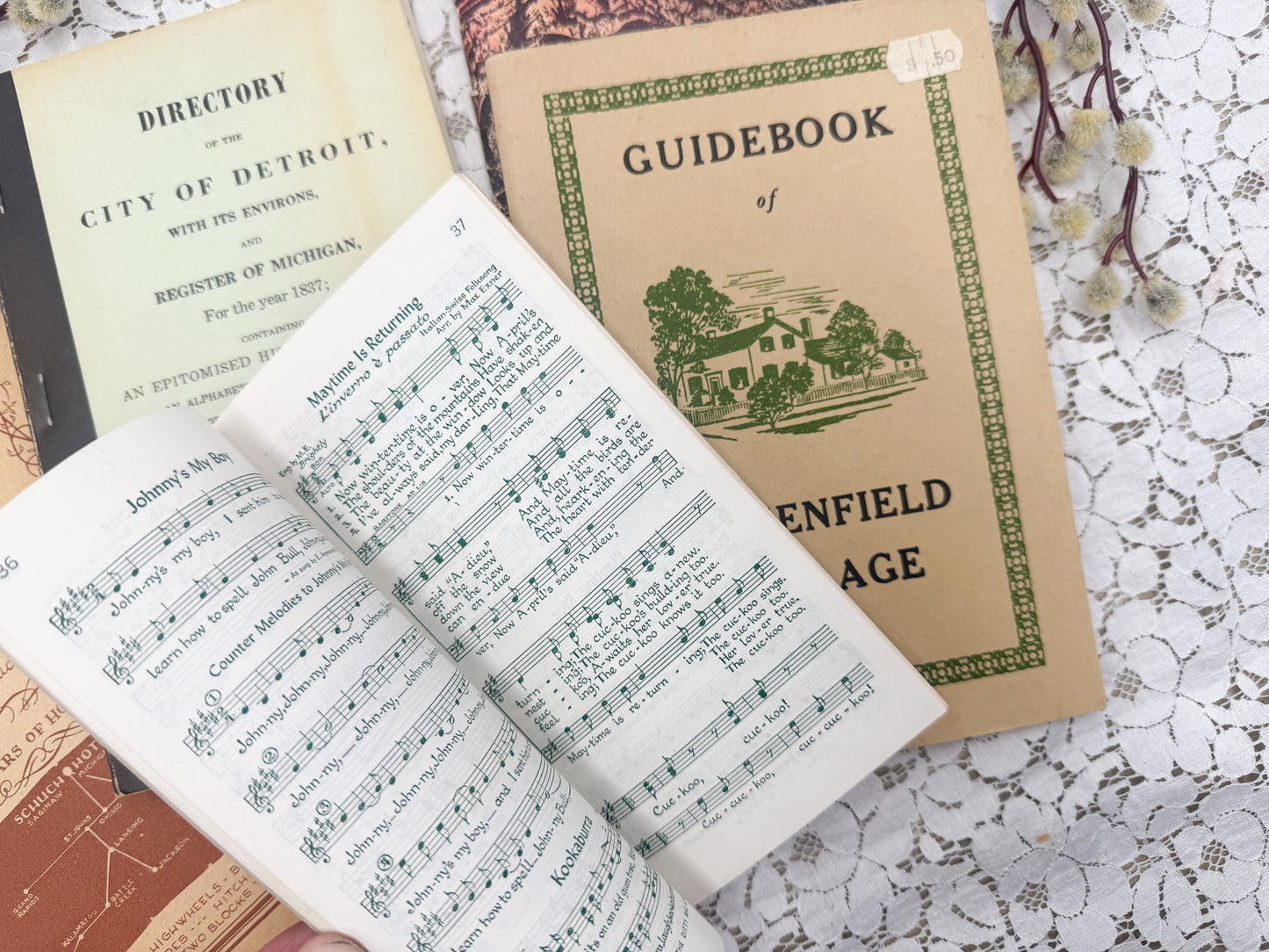 Vintage Michigan Books