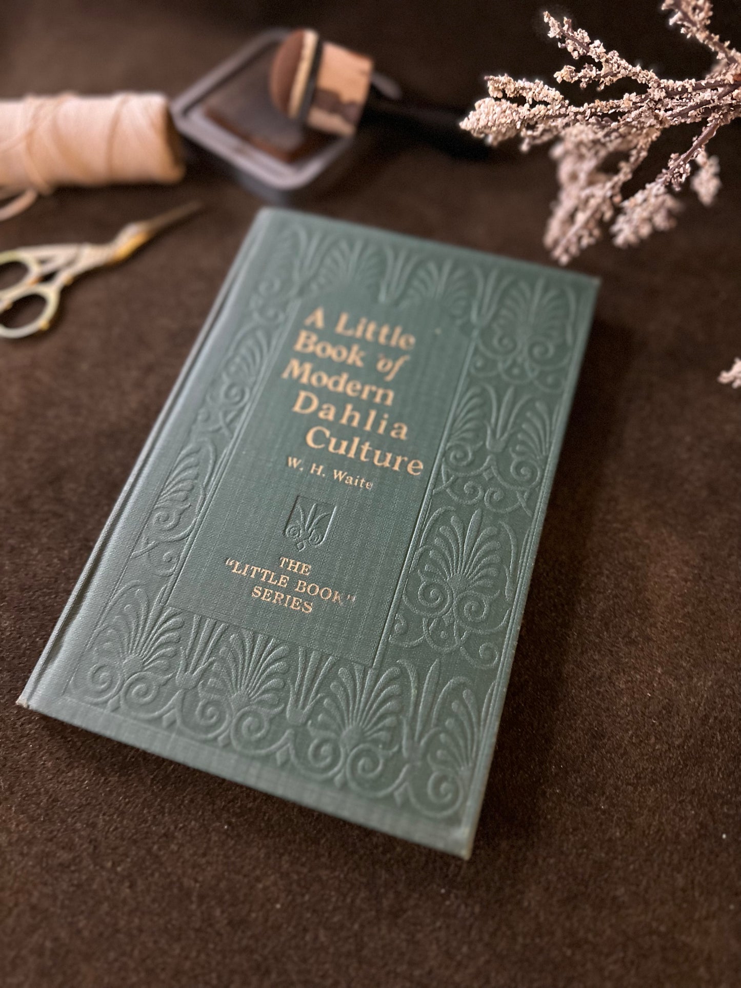 Beautiful Vintage Book