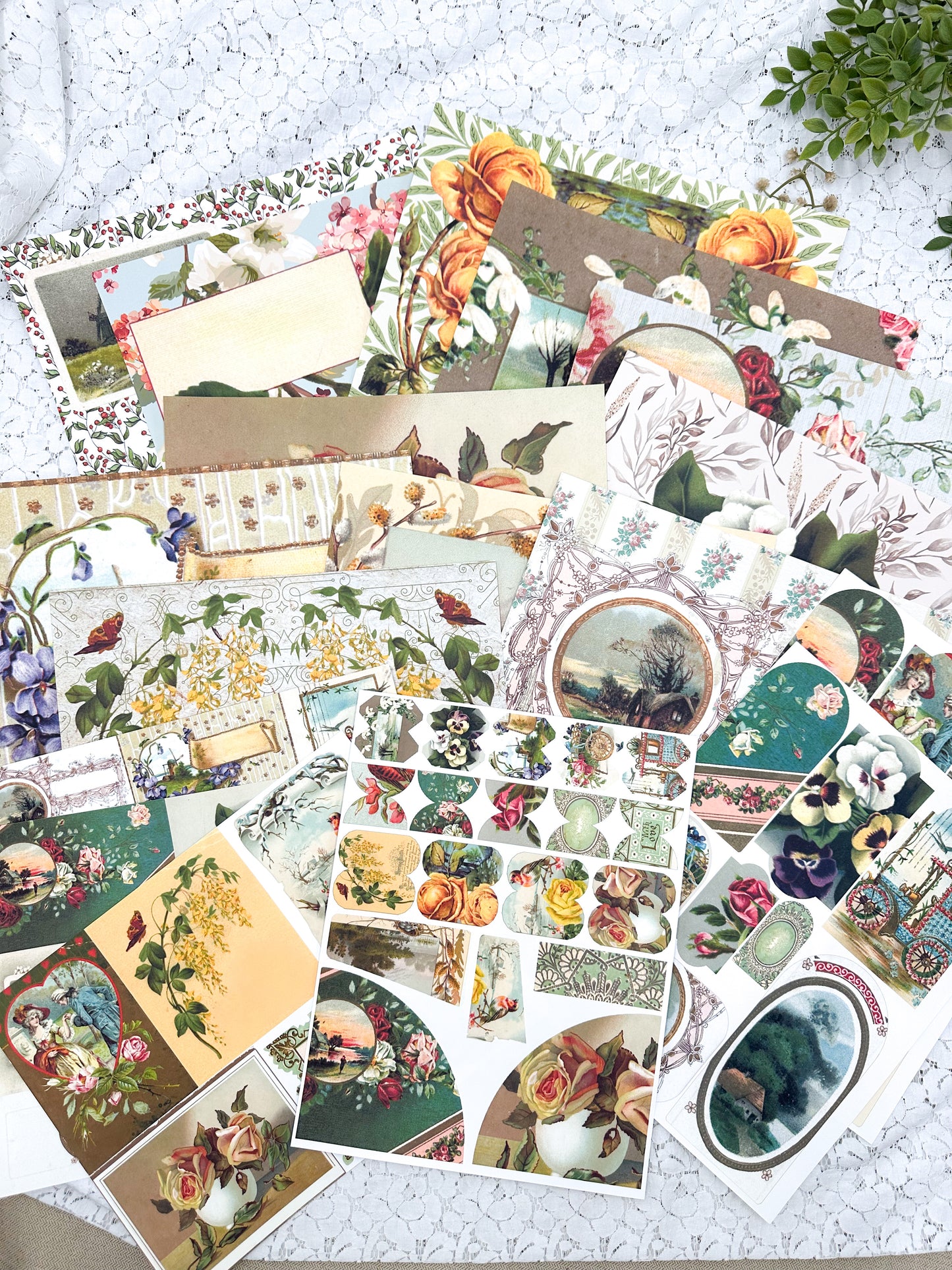 Postcard Two- Paper Packs