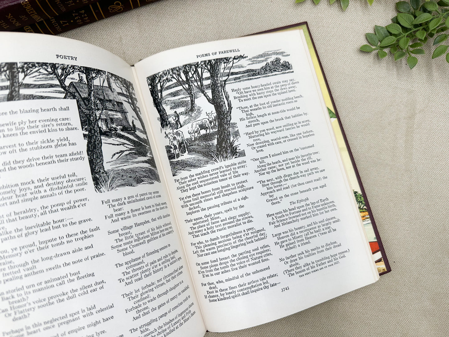 The Book of Knowledge (Multiples Available)