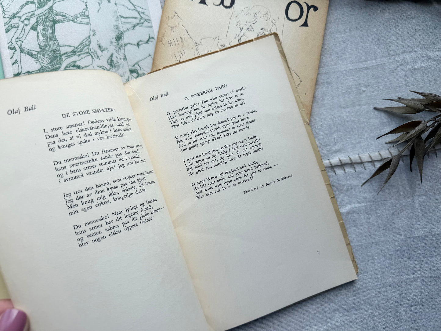 Poetry Booklet Set
