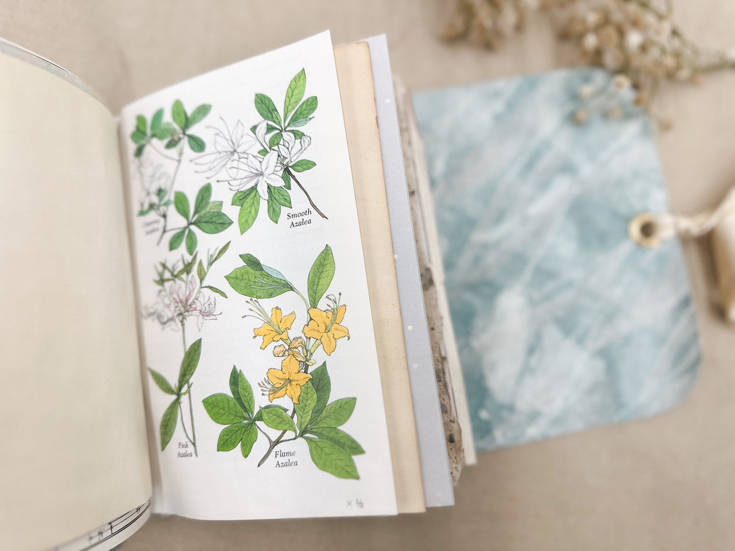 Handmade Journal (Junk Journal Pages)
