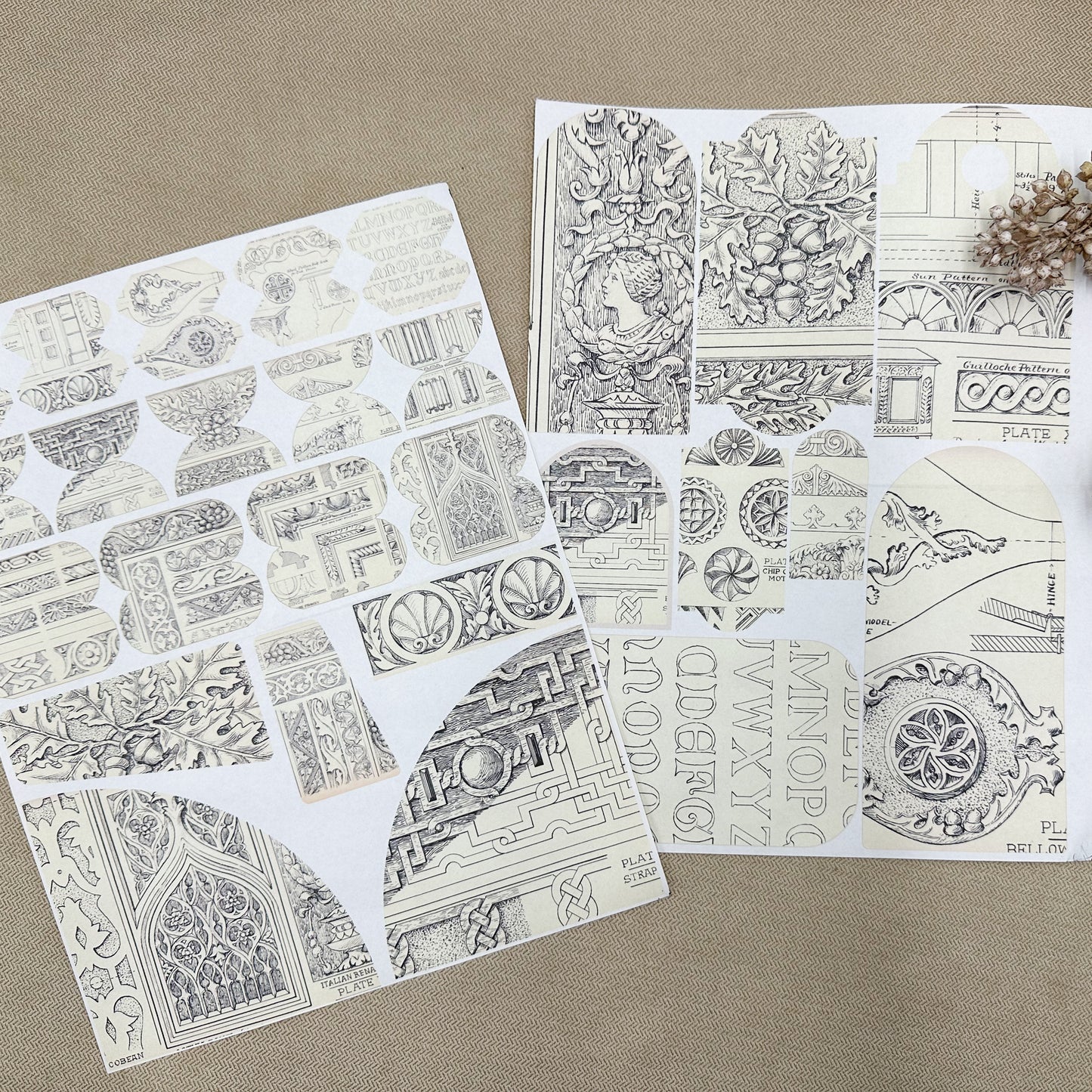 Motif Paper Pack- You Choose Paper Weight