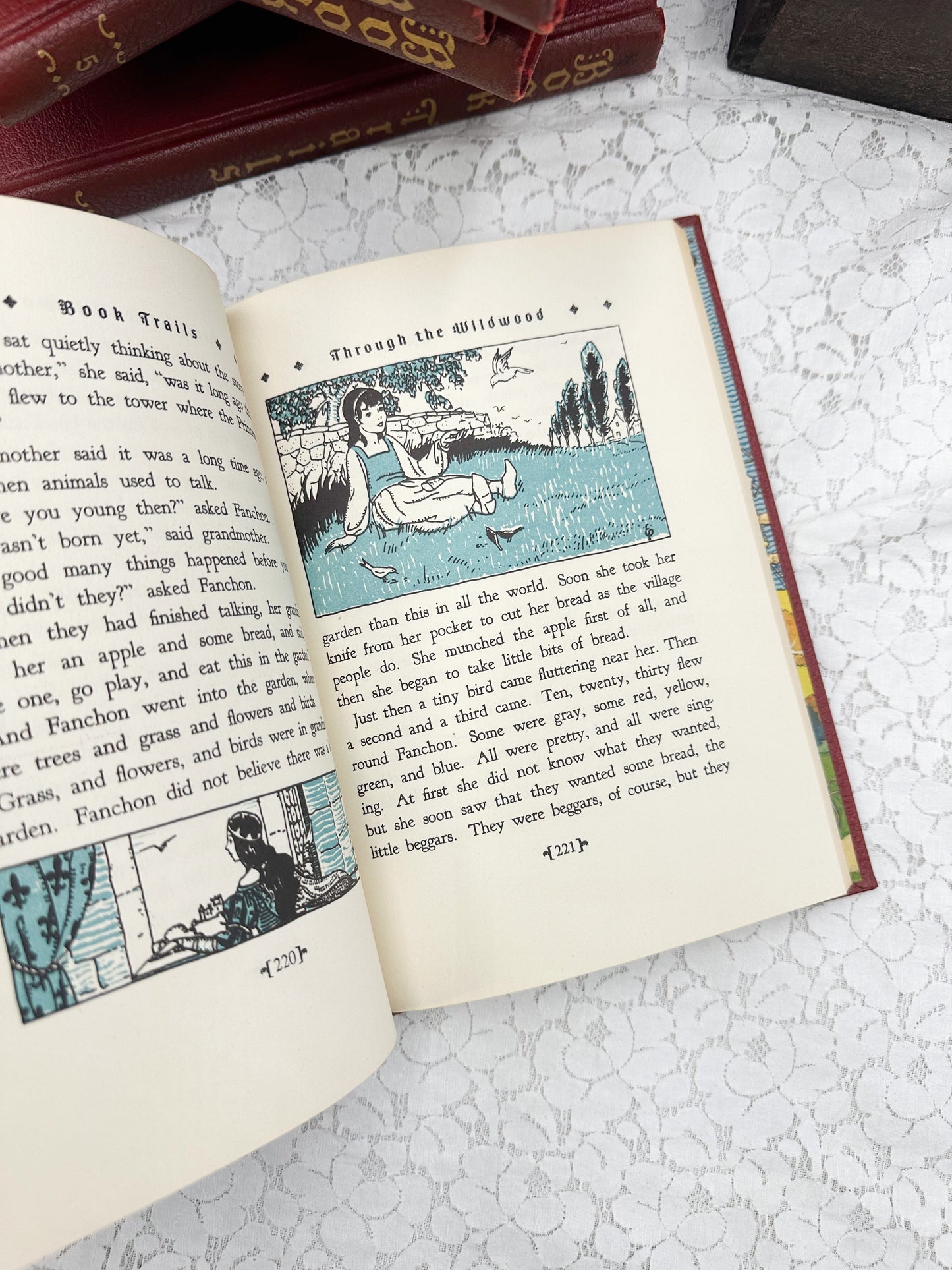 Book Trails Book (Multiple Available)