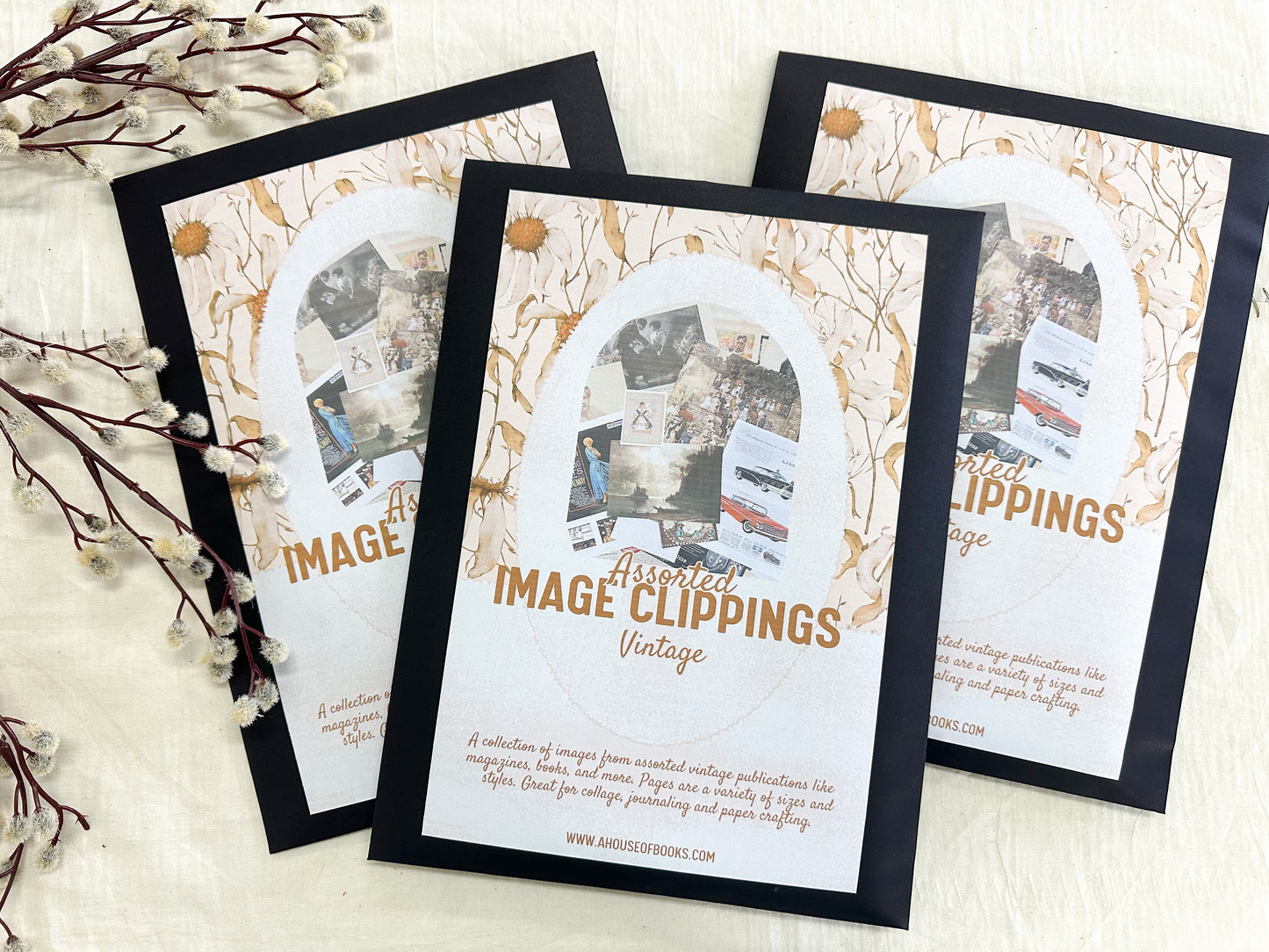 Assorted Image Clipping Pack