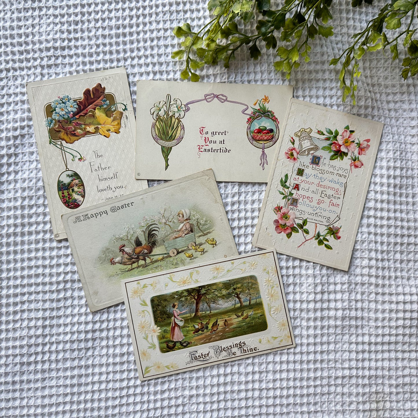 Vintage Postcard Set