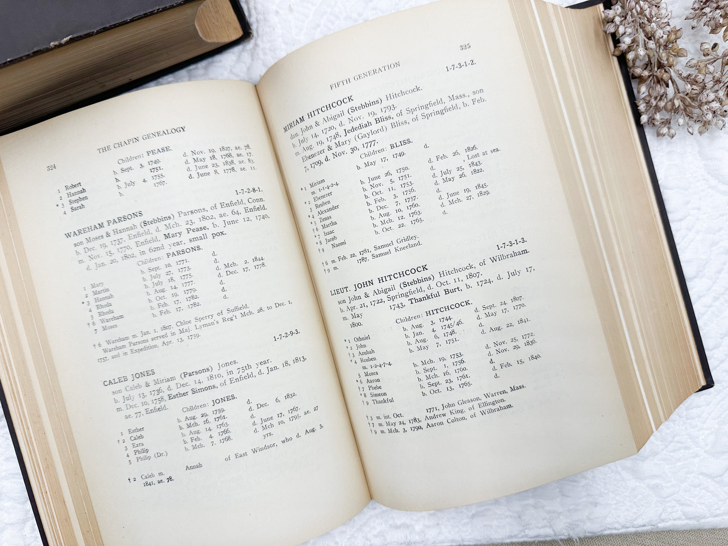 Vintage Genealogy