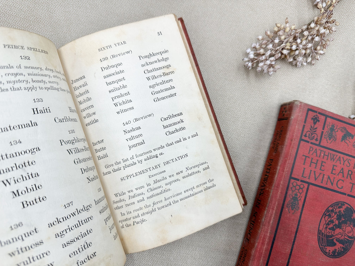 Vintage Textbook Set of Four
