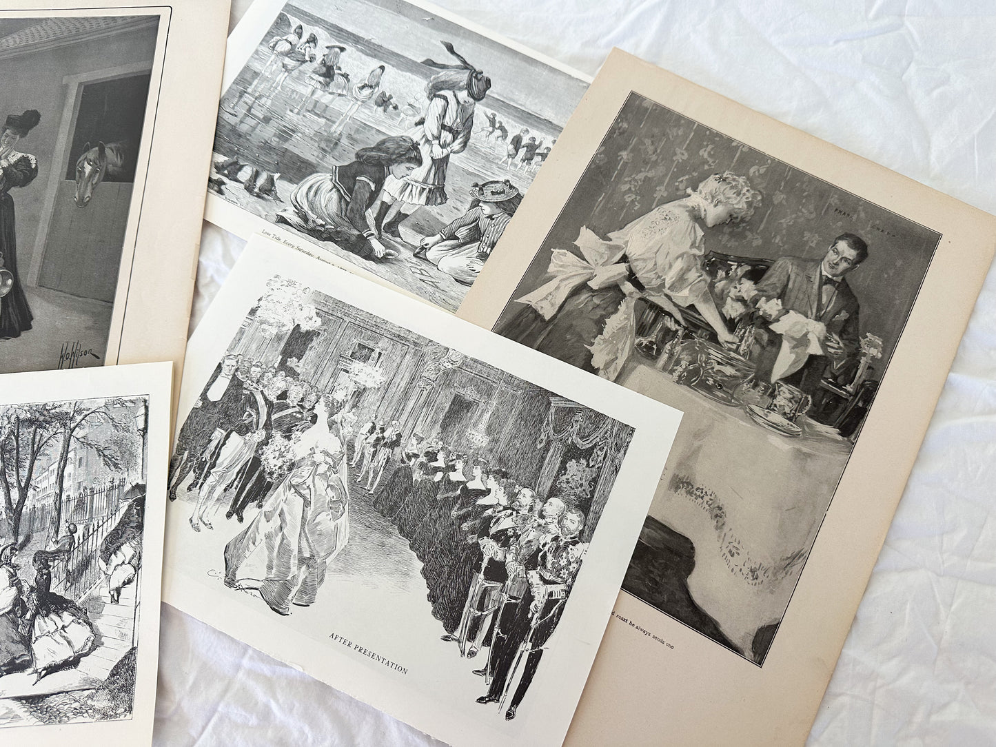 Vintage Illustration Set
