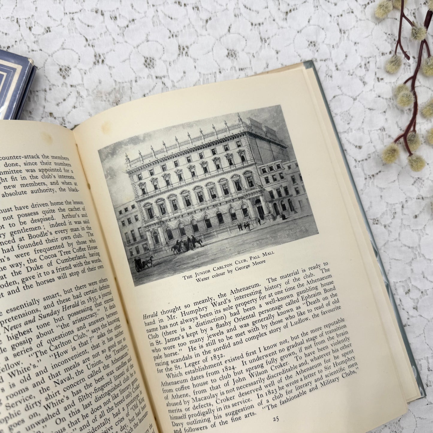 Illustrated Book Set