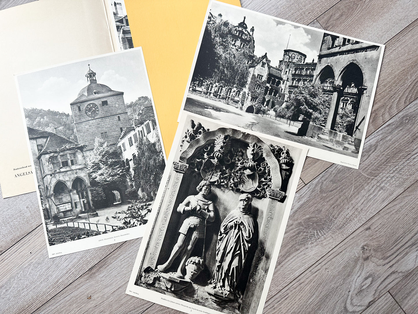Seideberg Prints (Set of 17)