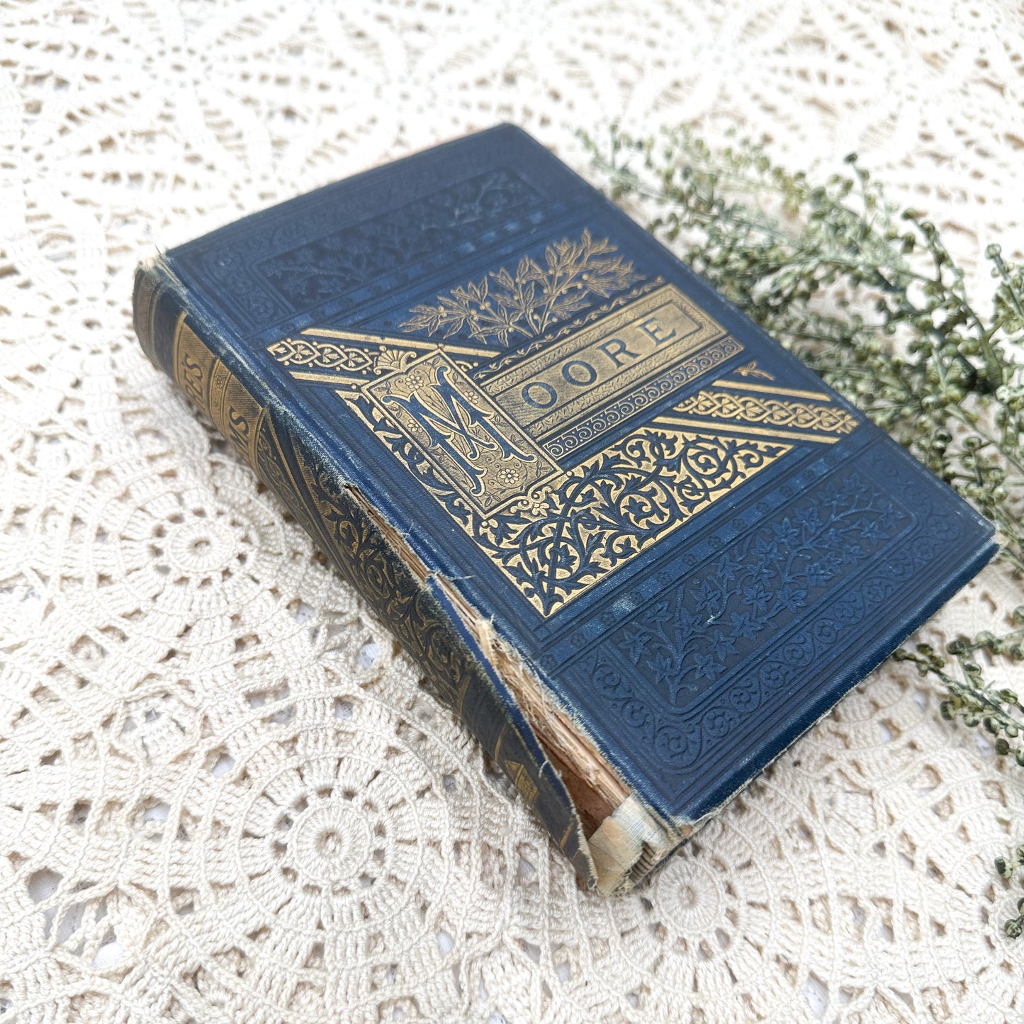 The Poetical Works of Thomas Moore