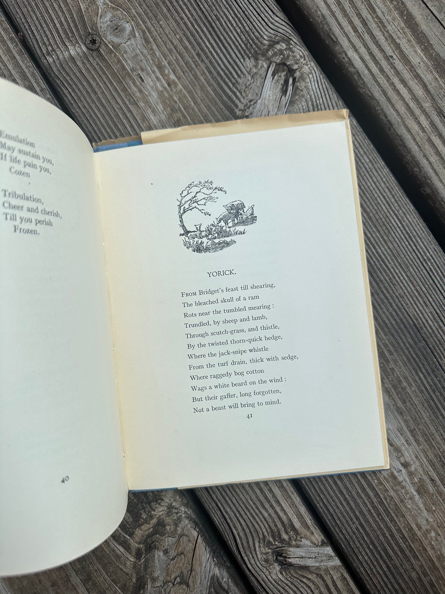 Wild Honey Poems