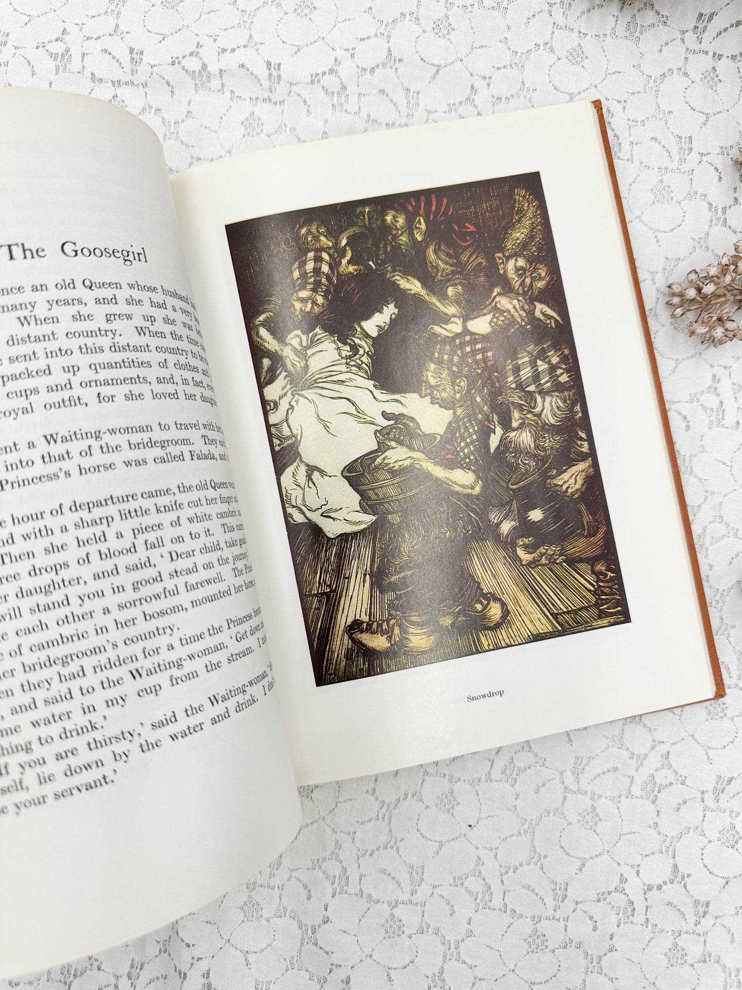 Grimm's Fairy Tales