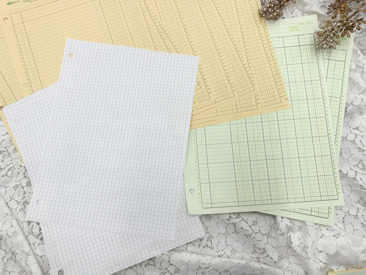 Blank Ledger Paper Set