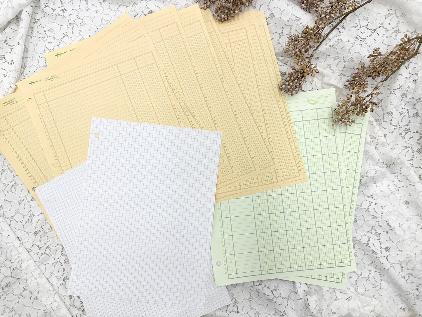 Blank Ledger Paper Set