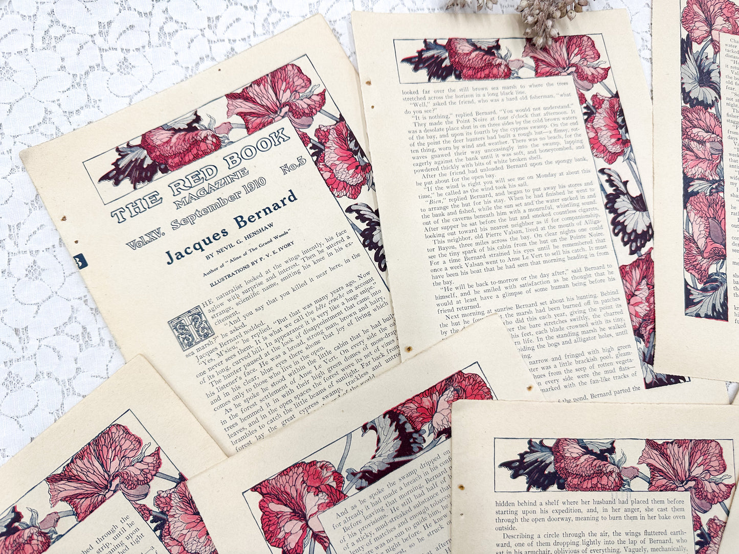 Harper's Bizarre- Red Book Pages (Set of 8)