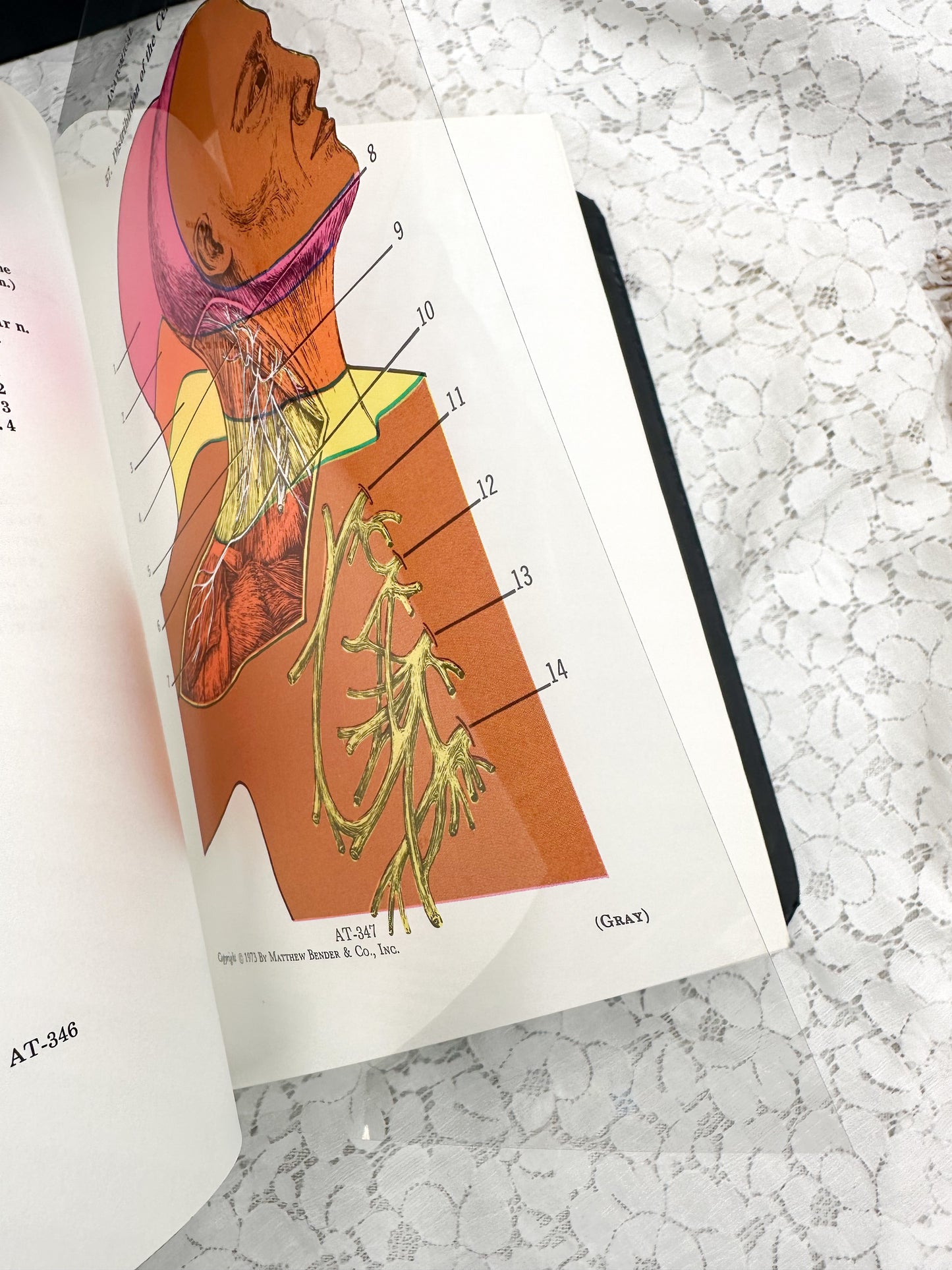 Textbook of Medicine- Two Available